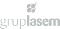 Grup Lasem